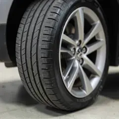 Tire tread and wheel